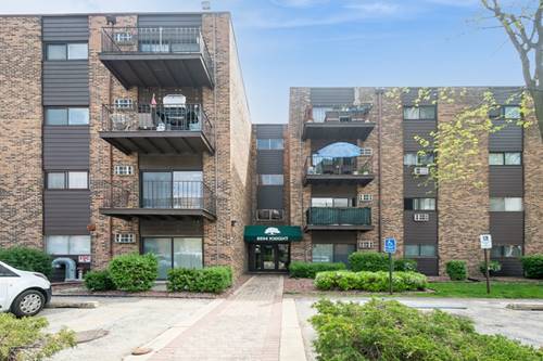 8901 N Western Unit 206, Des Plaines, IL 60016