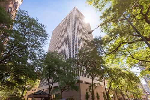1 E Scott Unit 2002, Chicago, IL 60610