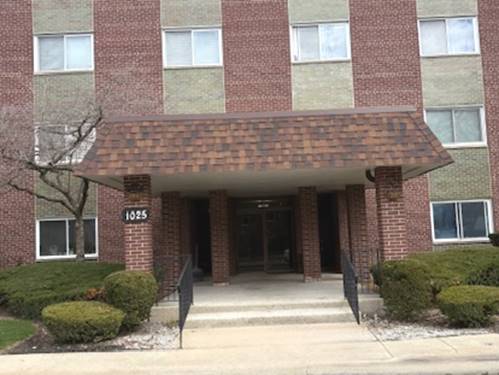 1025 S Fernandez Unit 4M, Arlington Heights, IL 60005