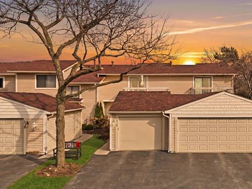 1013 Chatham, Vernon Hills, IL 60061