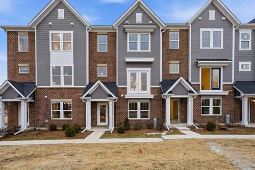 232 Warren Unit 11546, Schaumburg, IL 60193