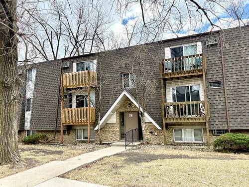 216 Madison Unit 3D, Joliet, IL 60435