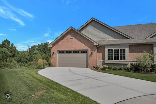 20336 Mackinac Point, Frankfort, IL 60423