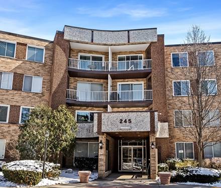 245 S Park Unit 424, Palatine, IL 60074