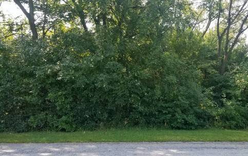 91 E 227th, Steger, IL 60475