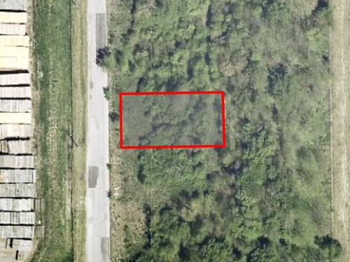 15329 S Wallace, South Holland, IL 60473