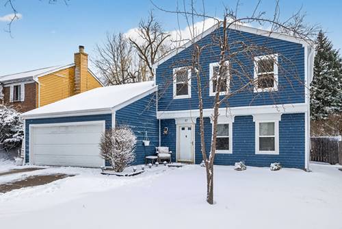 37 Monterey, Vernon Hills, IL 60061