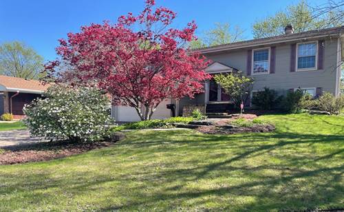 23W281 Cambridge, Glen Ellyn, IL 60137