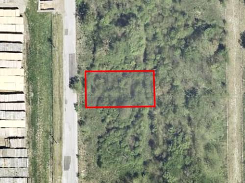 15323 S Wallace, South Holland, IL 60473