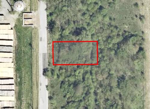 15317 S Wallace, South Holland, IL 60473