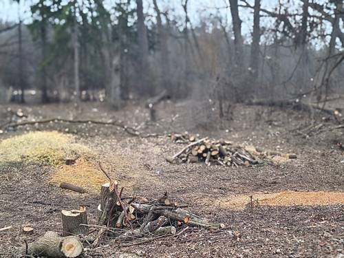 Lot 1 Asbury, Fox River Grove, IL 60021