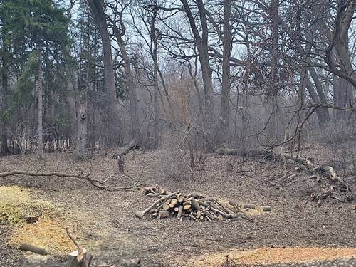 LOT 2 Asbury, Fox River Grove, IL 60021