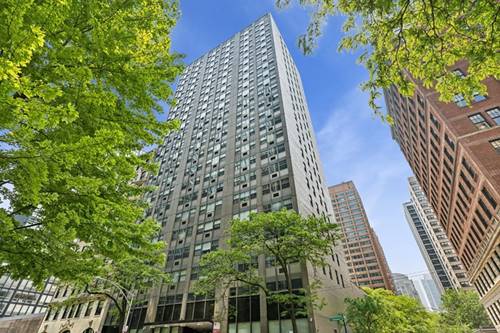 253 E Delaware Unit 22B, Chicago, IL 60611