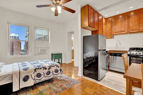 1100 N Lasalle Unit 520, Chicago, IL 60610