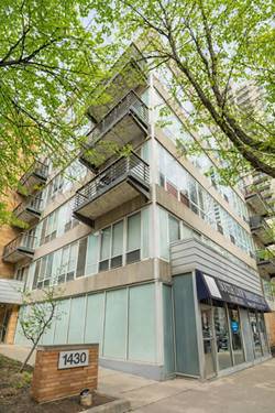 1430 S Michigan Unit 201, Chicago, IL 60605