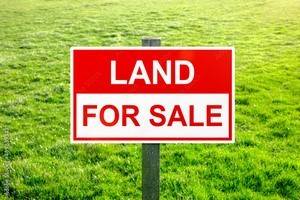 4720 W Washington, Chicago, IL 60644