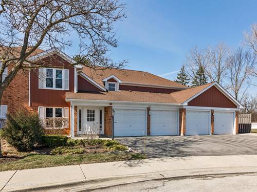 176 Grove Unit C, Des Plaines, IL 60016