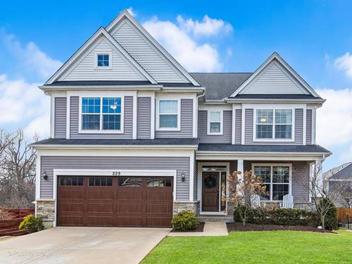 229 Grant, Downers Grove, IL 60515