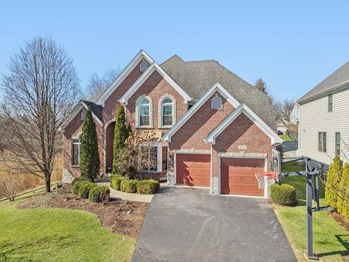 824 Megan, Westmont, IL 60559