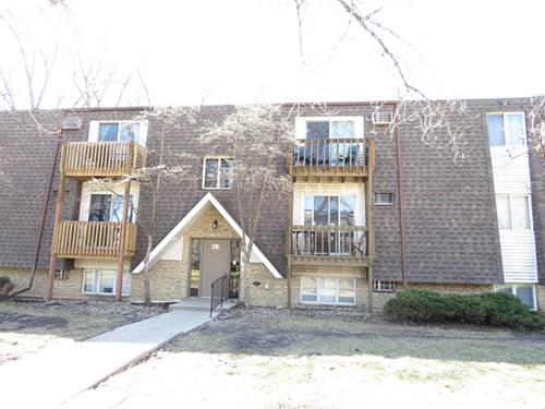 216 Madison Unit 3C, Joliet, IL 60435