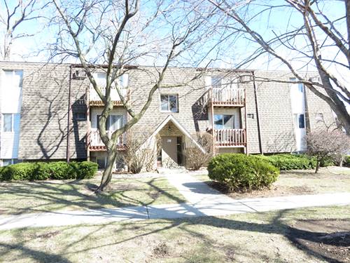 218 Madison Unit 3B, Joliet, IL 60435