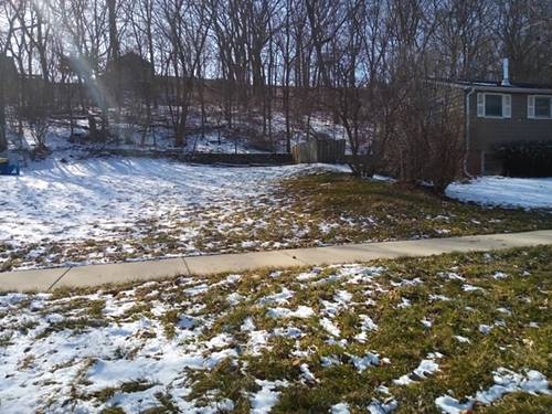 19 N Lincoln, Carpentersville, IL 60110