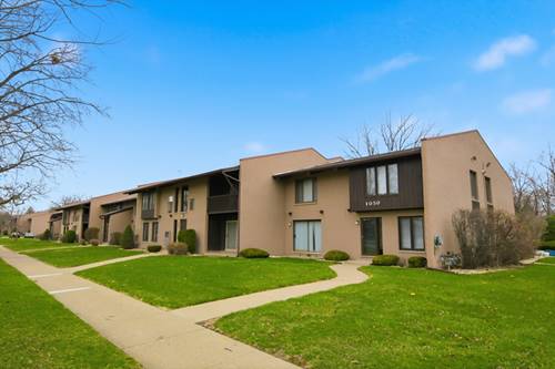1050 Holbrook Unit Q, Homewood, IL 60430