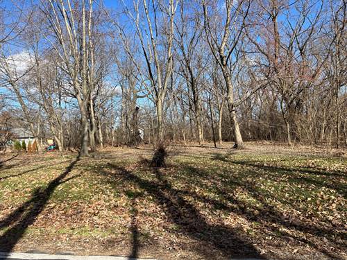 12421 S 83rd, Palos Park, IL 60464