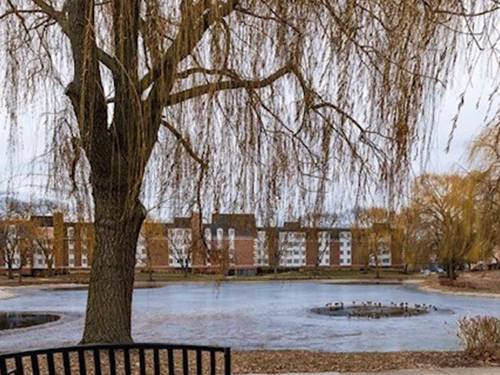 225 Lake Unit 517, Buffalo Grove, IL 60089