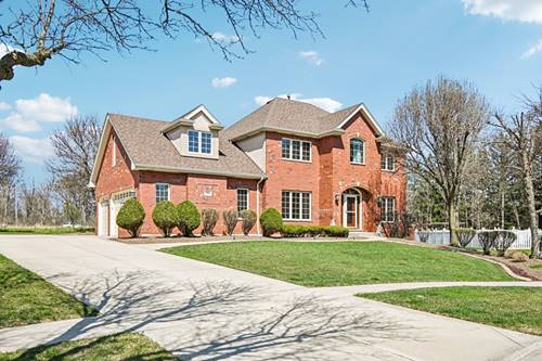 12410 Country View, Homer Glen, IL 60491