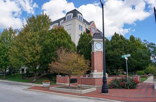 4811 N Olcott Unit 515, Harwood Heights, IL 60706