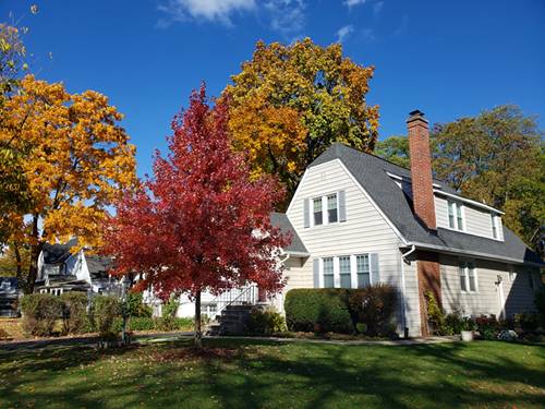 5433 Brookbank, Downers Grove, IL 60515