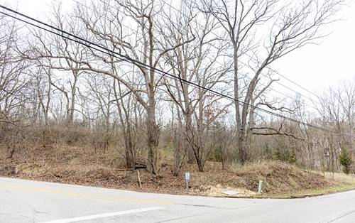 LOT 19 & LOT 18 Williams, Lake Marian, IL 60110