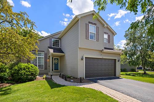 424 Big Cloud, Lake In The Hills, IL 60156