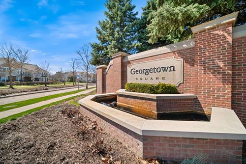 1142 Georgetown, Vernon Hills, IL 60061