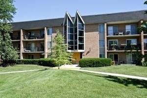 1056 N Mill Unit 304, Naperville, IL 60563