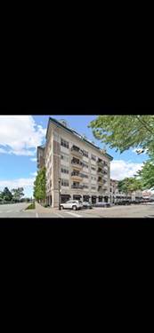 50 N Plum Grove Unit 405, Palatine, IL 60067