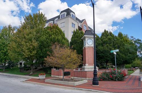 4811 N Olcott Unit 516, Harwood Heights, IL 60706