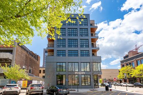 1123 W Randolph Unit 401, Chicago, IL 60607