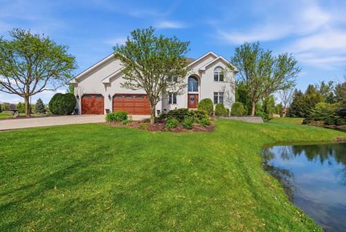 12959 Silver Fox, Lemont, IL 60439