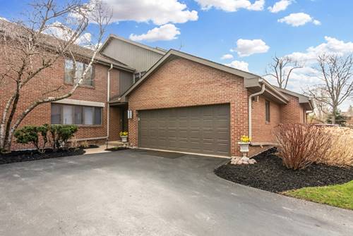 49 Park Unit 49, Park Ridge, IL 60068