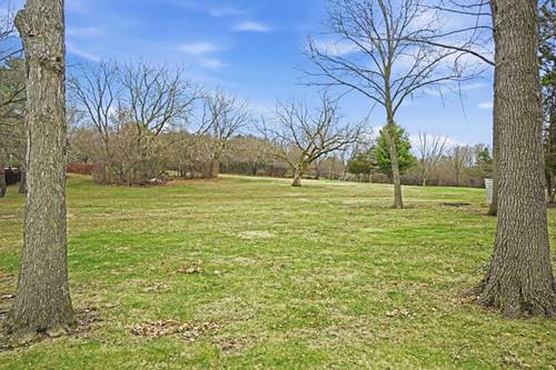 38705 N Pine Grove, Wadsworth, IL 60083
