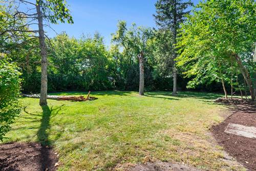 88 N Airlite, Elgin, IL 60123