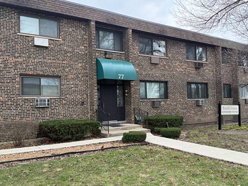 77 W Central Unit 108, Roselle, IL 60172