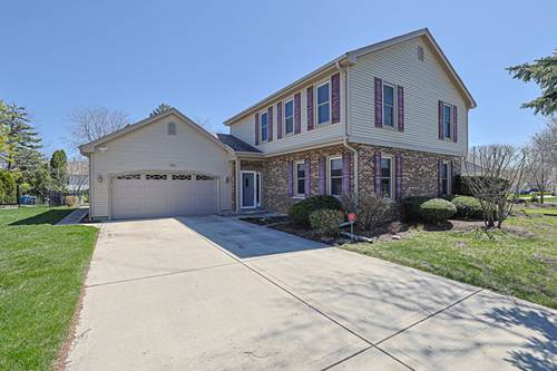 229 Tudor, Schaumburg, IL 60193