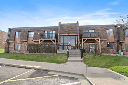 712 Tipperary Unit 2B, Schaumburg, IL 60193