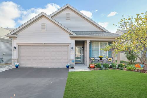12382 Wedgemere, Huntley, IL 60142
