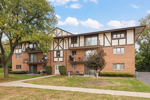 10965 S 84th Unit 3C, Palos Hills, IL 60465