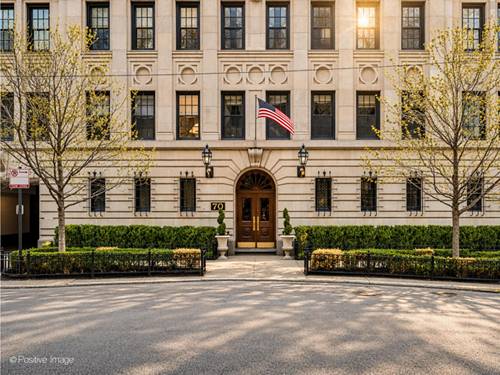 70 E Cedar Unit 14WS, Chicago, IL 60611