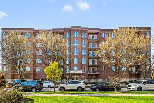1327 E Washington Unit 309, Des Plaines, IL 60016